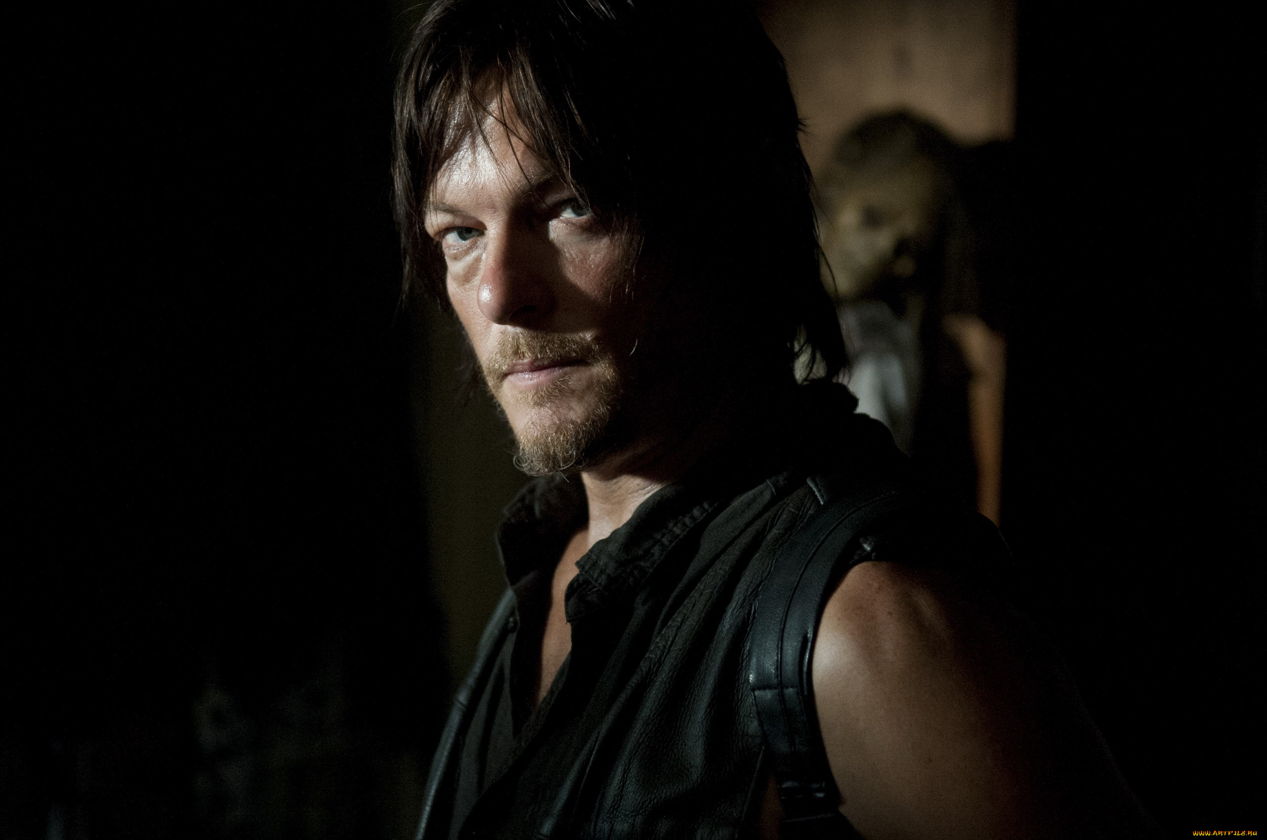  , the walking dead, norman, reedus, daryl